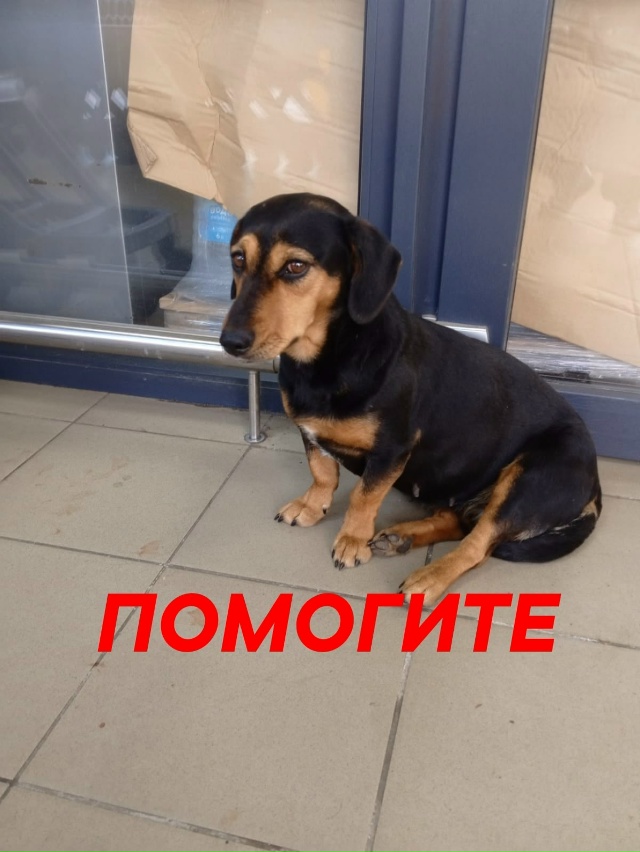 Пропустите, пожалуйста
🆘️🆘️🆘️🆘️🆘️🆘️🆘️🆘️?...