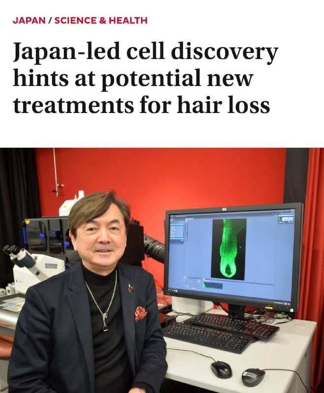 Японцы почти победили облысение: институт Riken и OrganTech обнаружили недостающий элемент в регенер