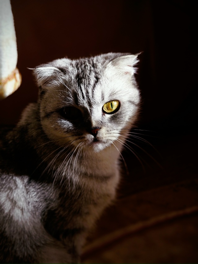 Моя нереальная 😇