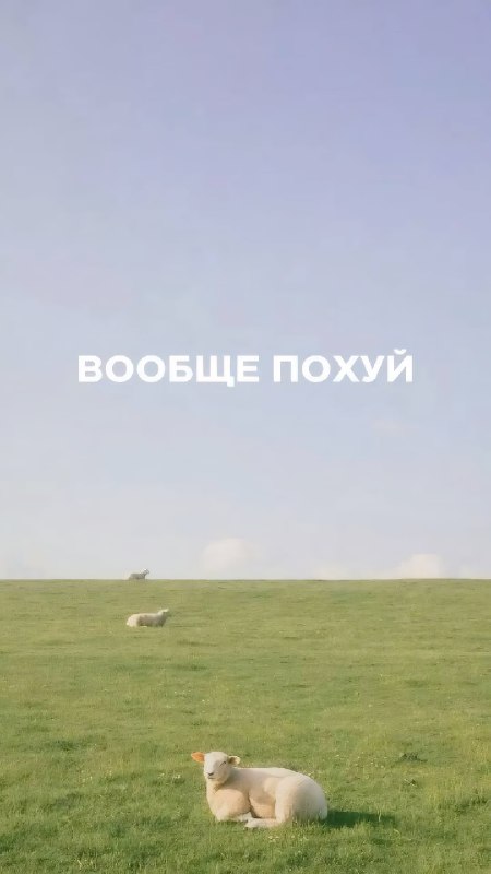 Ловите топовые обои на мобилу — с ними будет проще вывезти даже самые тяжёлые дни
Сохраняем и испол