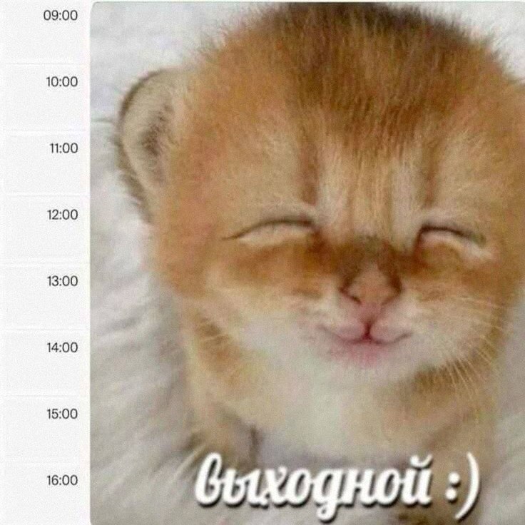 Ночная подборочка
Выходные, не спим