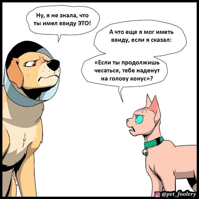 А чесаться так и хочется