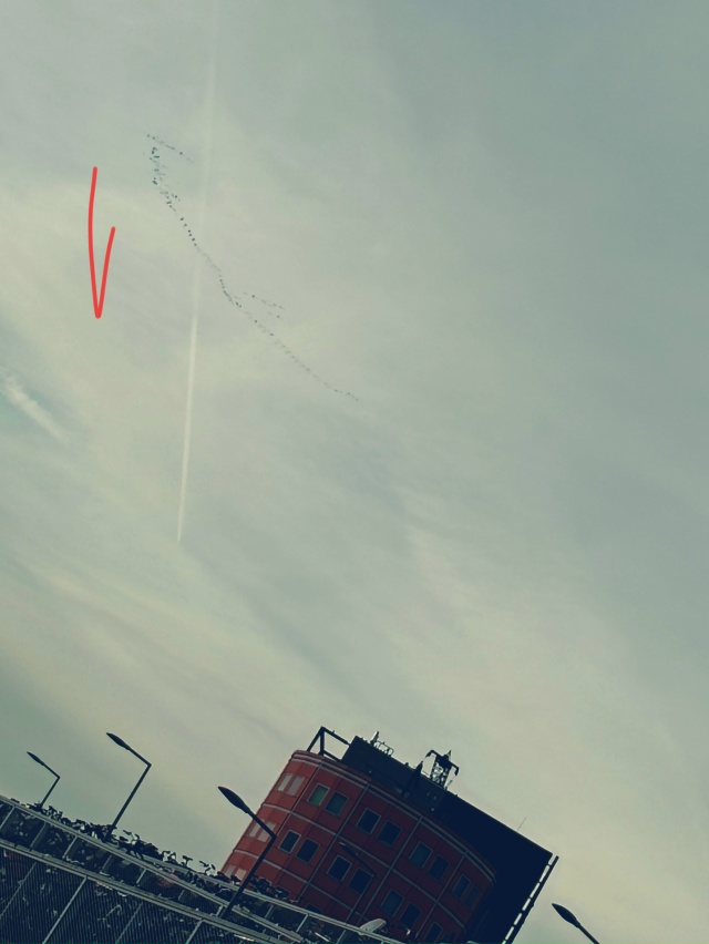 Из цикла «Поезд Вне Расписания»
Ночная встреча в #AiSlaviD...