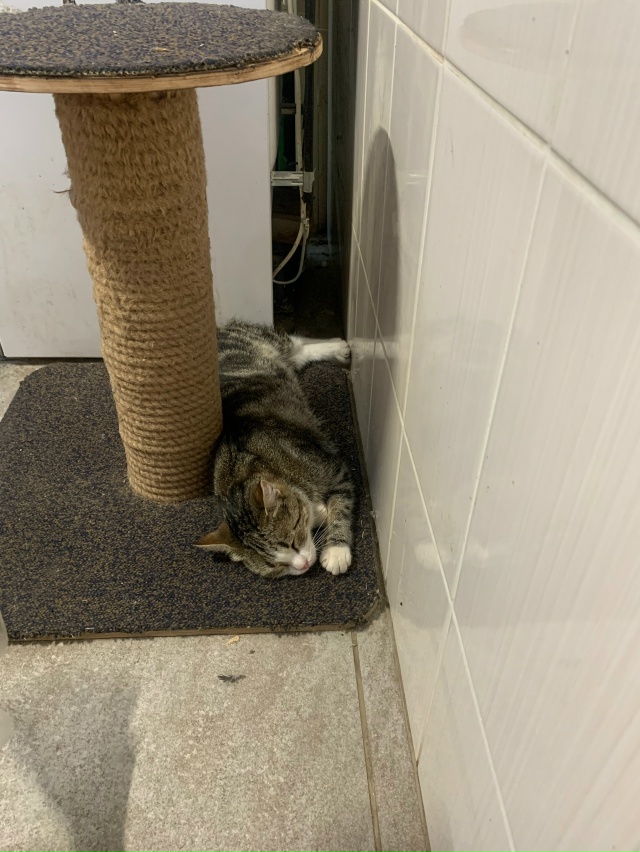 Карельский зоопарк