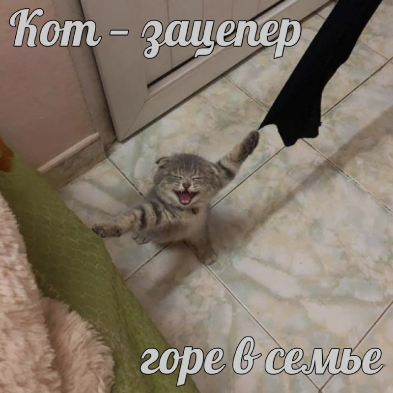 Ночная подборочка
Спать, режим