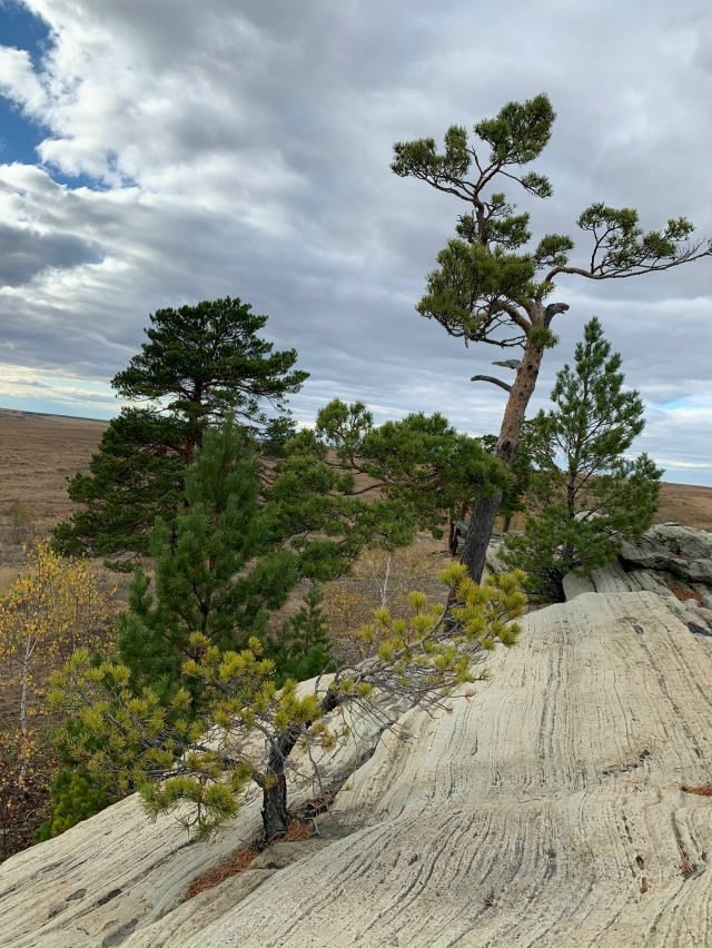 ? В Карагайском бору у реки Губерля — настоящая приро...