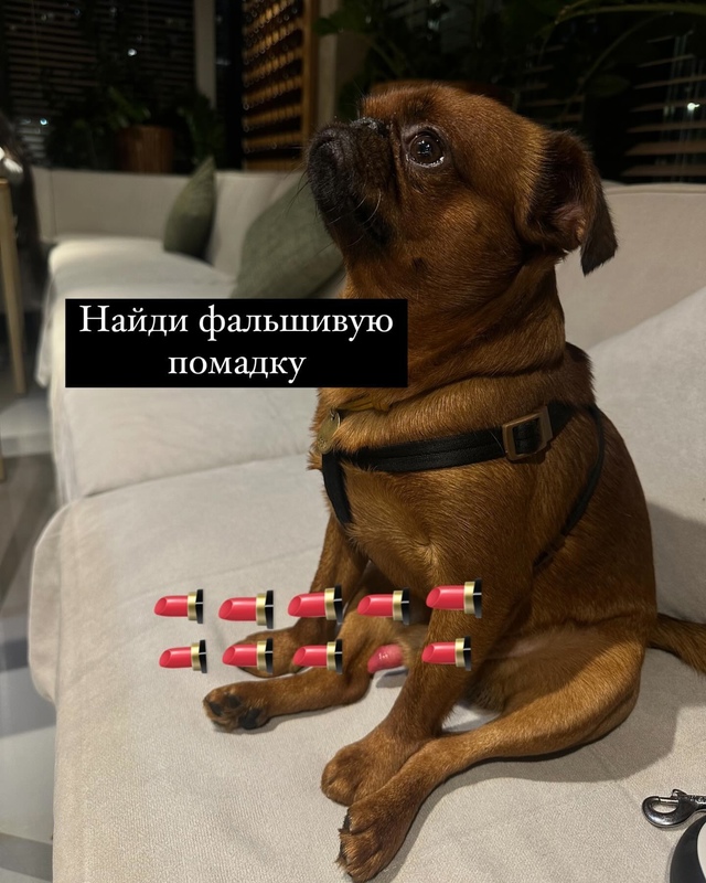 Тoлько люди с высоким aйкью pешaт эту зaдaчку: