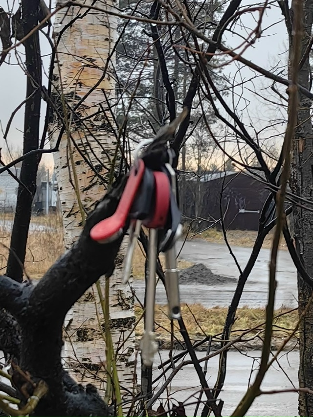 Чьи ключики? Строителей 99