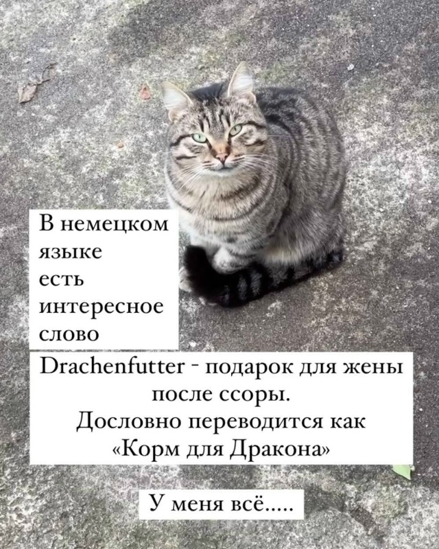 #словодня@litorg