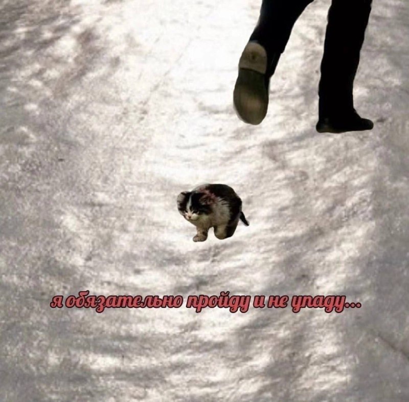 Утренняя подборочка