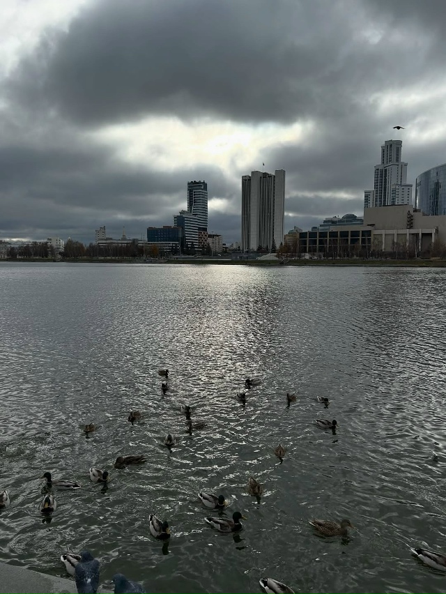 Всем отличного начала новой недели 🤗