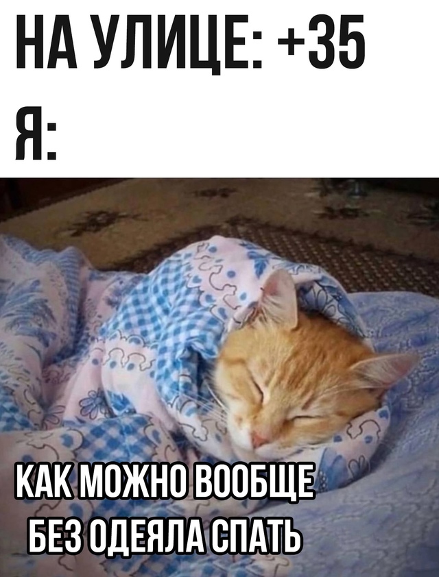 Жиза