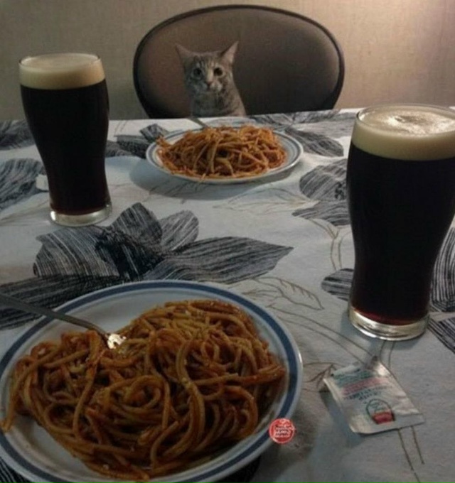 День темного пива и День независимых, гордых и одиноки?...