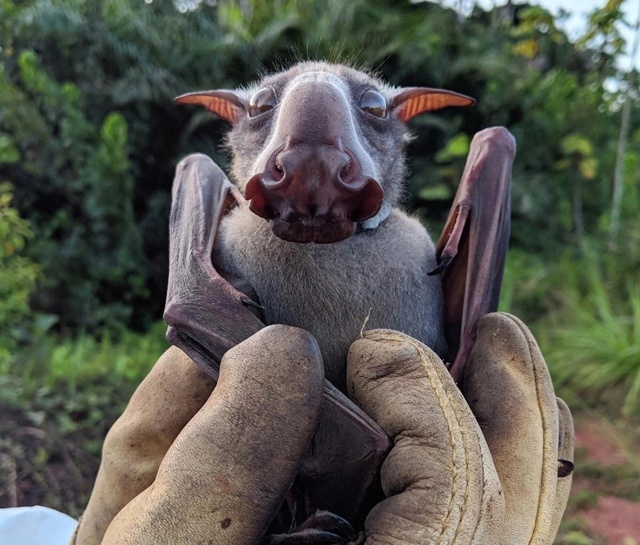 Перед вами – самая крупная и, без сомнения, самая стран...