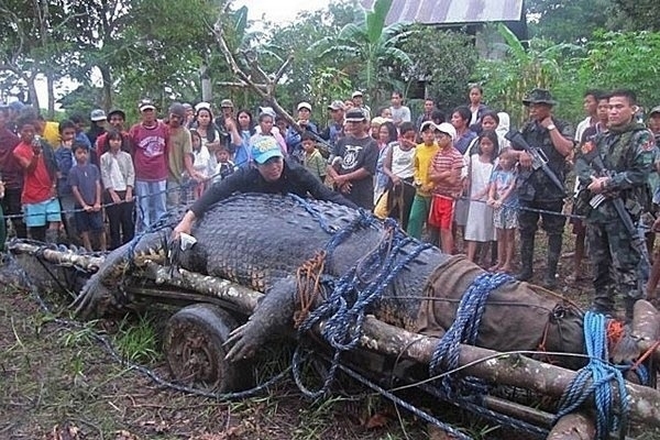 В республике Бурунди в 2002 году это чудовище, стало прич...