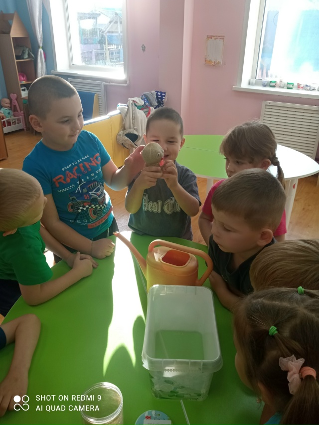 ?Маленькие исследователи: проект «Агрономия» в дейст...