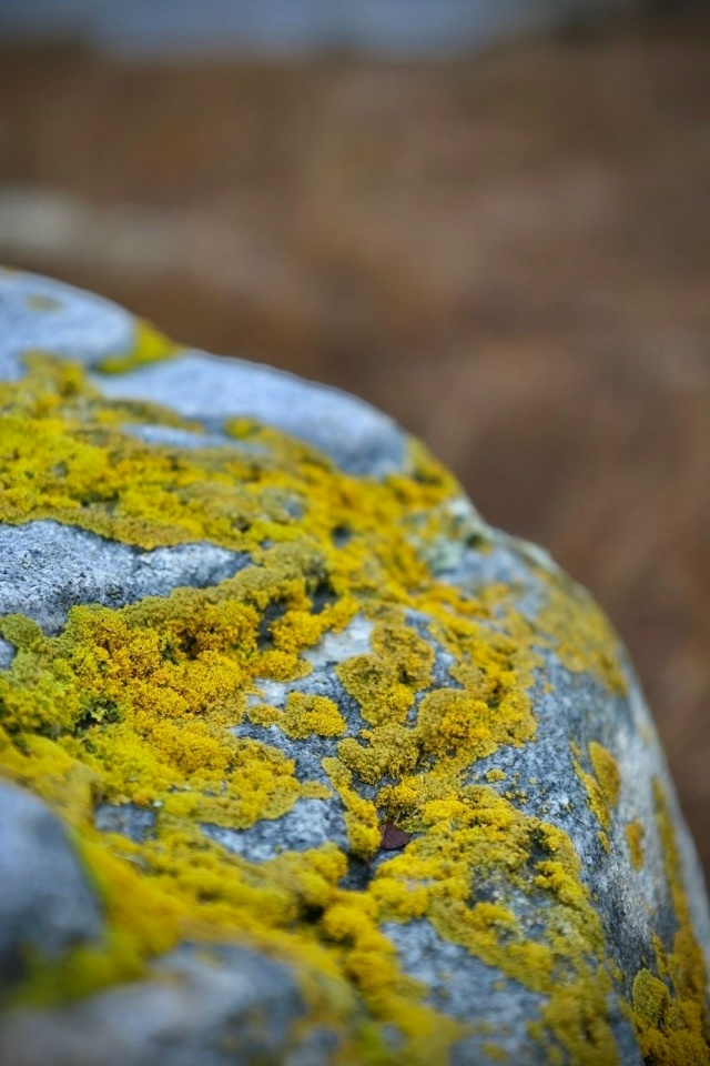 Красивое начало ноября.
Фото: [id1430345|Елена Серикова]