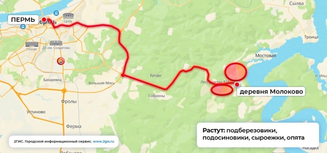 📍Грибные точки рядом с Пермью (~50км)
Хотите грибов, но ...