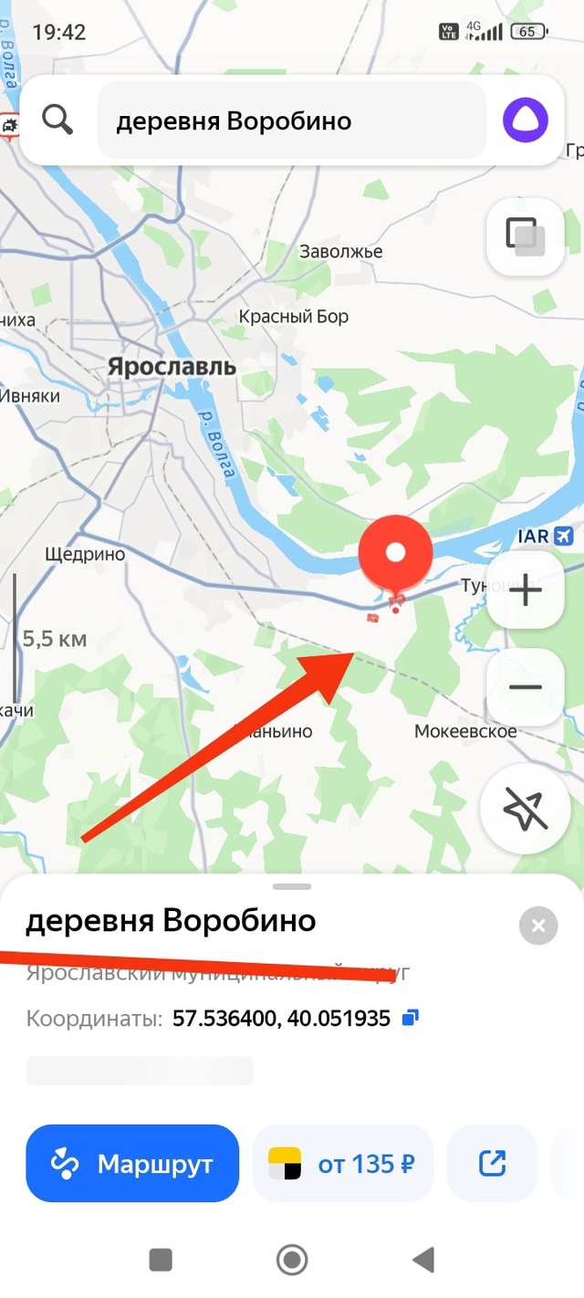 Всем доброго здоровья! 😇Отдам в добрые руки котят или...
