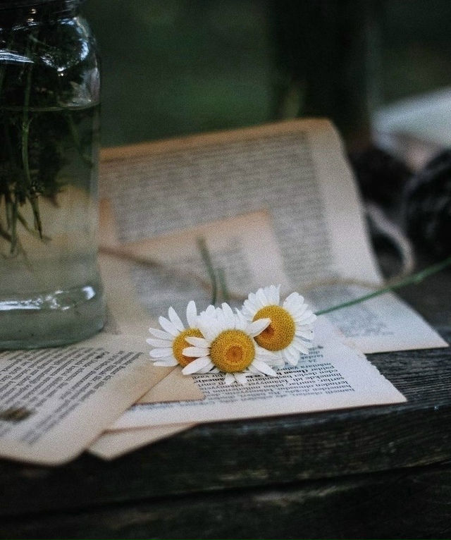 забудь все плохое.
начни с чистого листа.