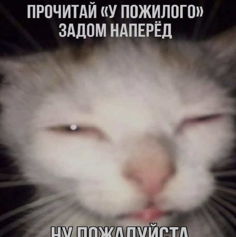 Ночная подборочка
Выходные, не спим