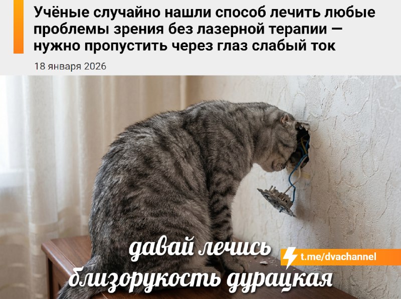 ❗️Учёные нашли способ исправлять зрение без лазера — с помощью… слабого тока
🟠Под его действием рог