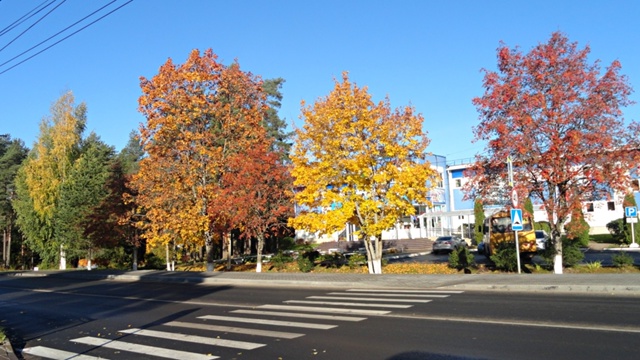 Золотая осень в родном Подпорожье