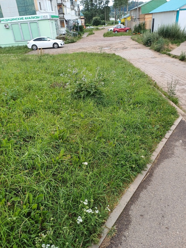 В самом центре микрорайона Дорогобуж на протяжении вс?...