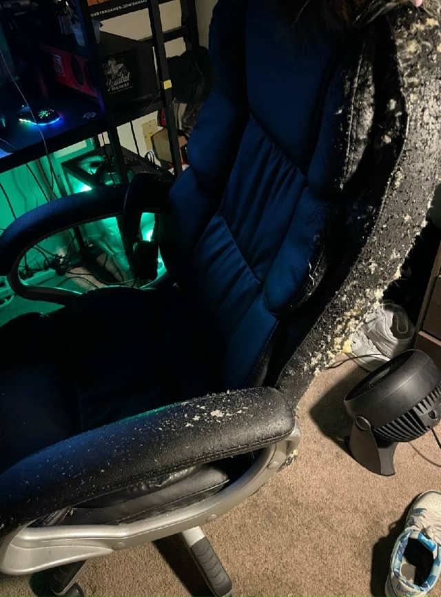 Главное что художник доволен