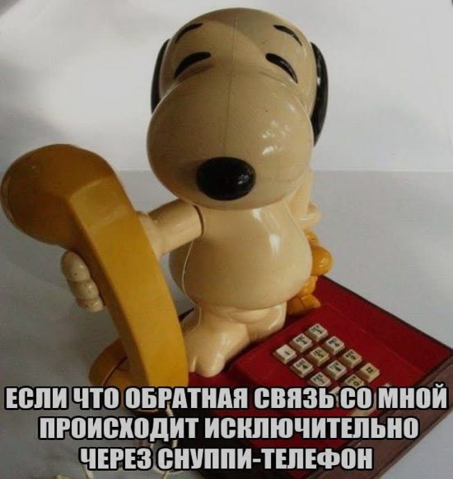 Ночная подборочка
Спать, режим