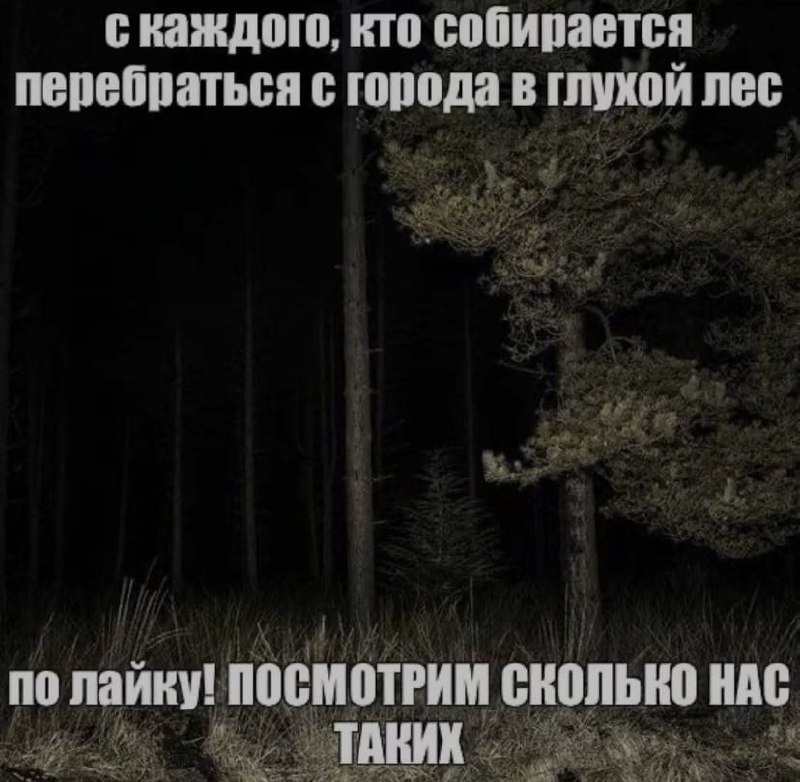 Ночная подборочка
Спать, режим