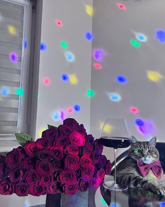 С Днём Святого Валентина!