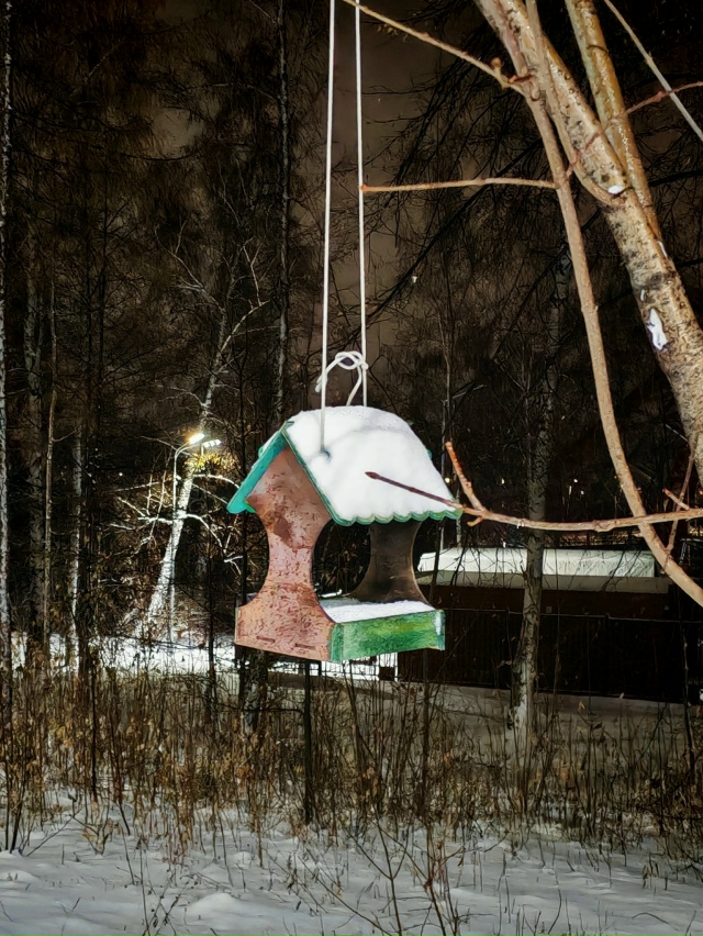 Зимний пapк Ηoвocибиpcкa ❄️