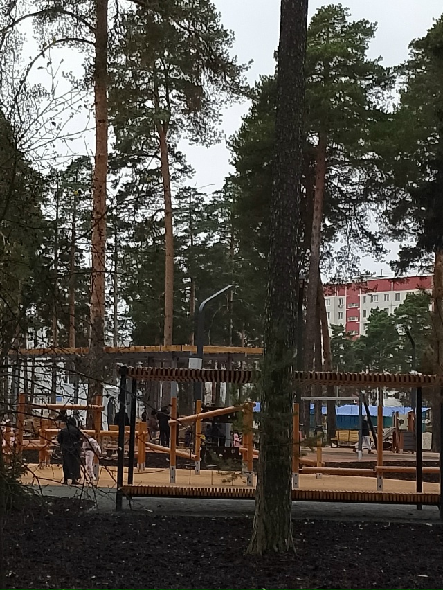 Доброе утро!
📸Ирина Бабинова