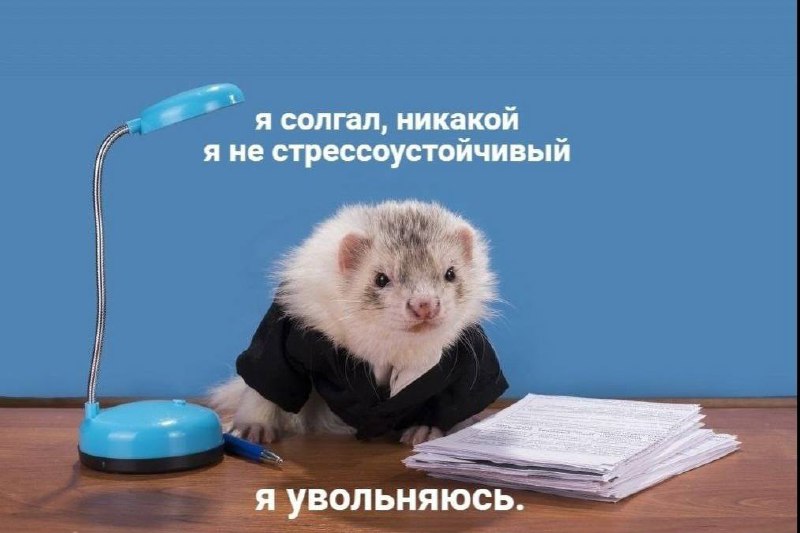 когда на работе тебе просто
сказали быть повнимательнее: