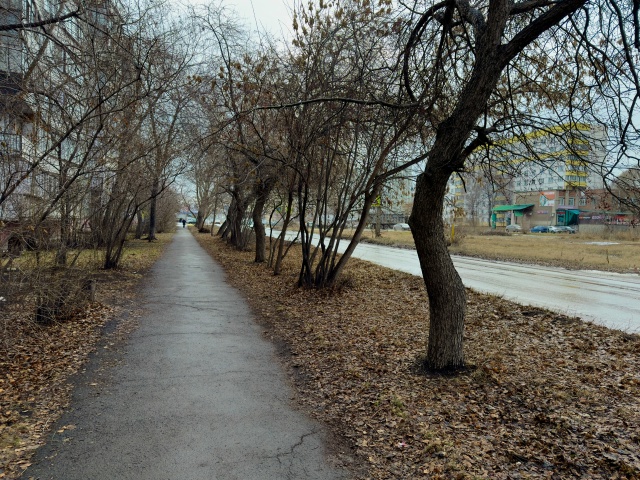 Всем самое доброе утро! 🌄