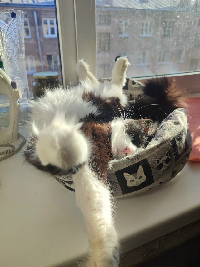 #Вася и весенние лучики тепла)