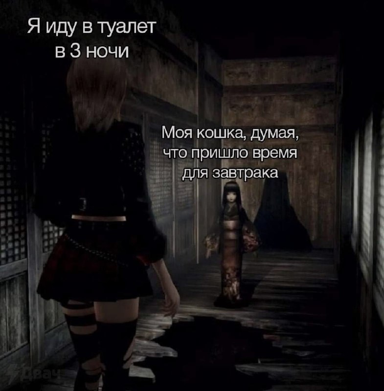 Ночная подборочка
Спать, режим