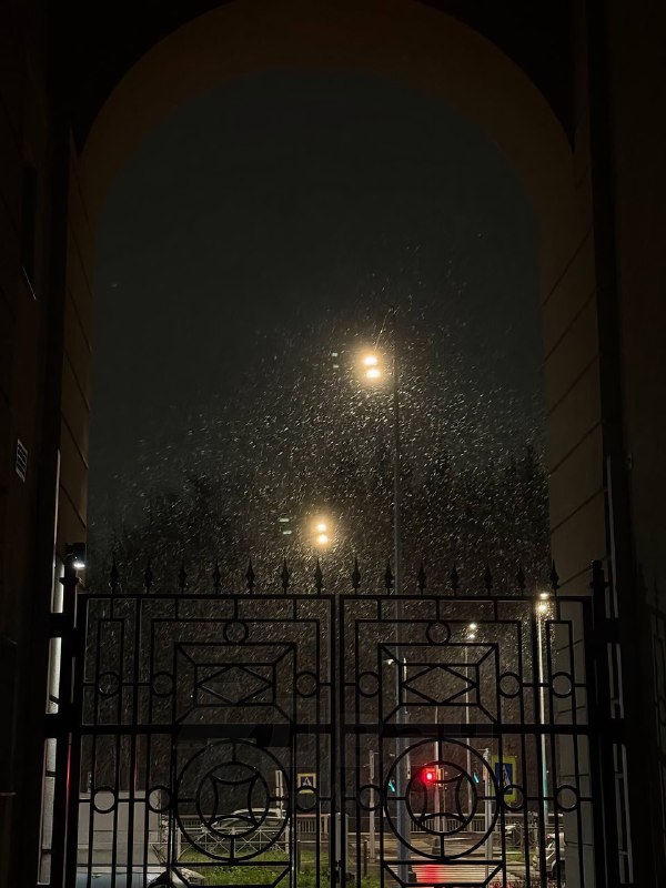 ‼️Сильнейший снегопад накрыл Питер — Гатчина уже полностью завалена
Петербуржцы, держитесь