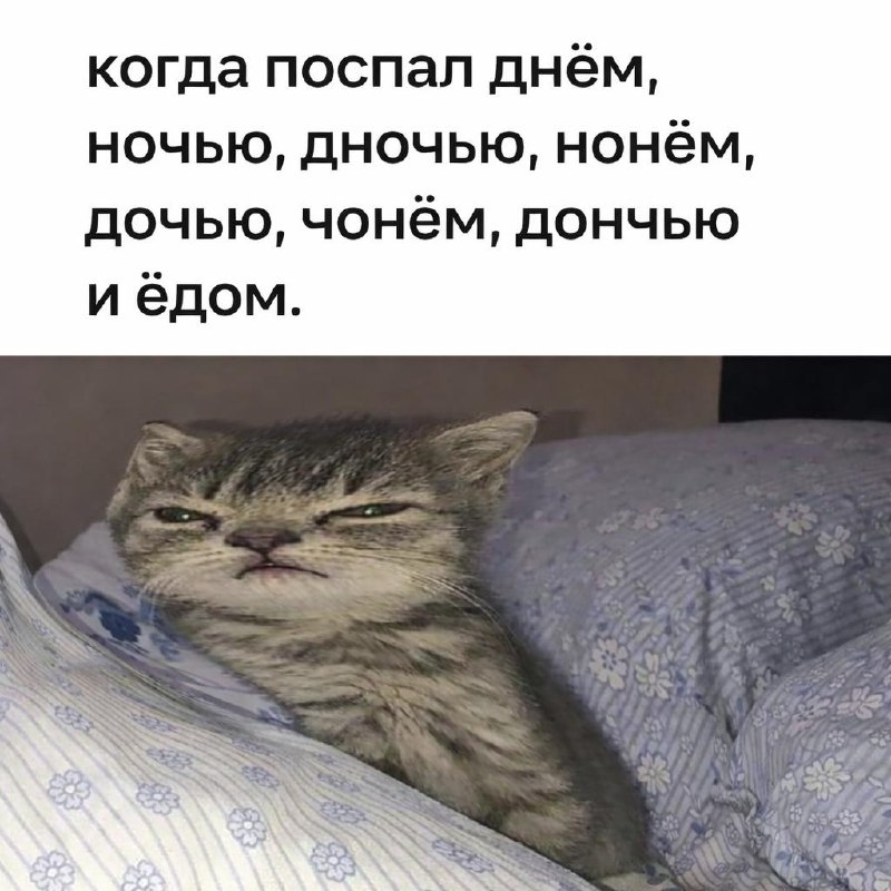 Спать днём оказалось полезно.
Даже короткий дневной сон на 40–50 минут помогает мозгу восстановить