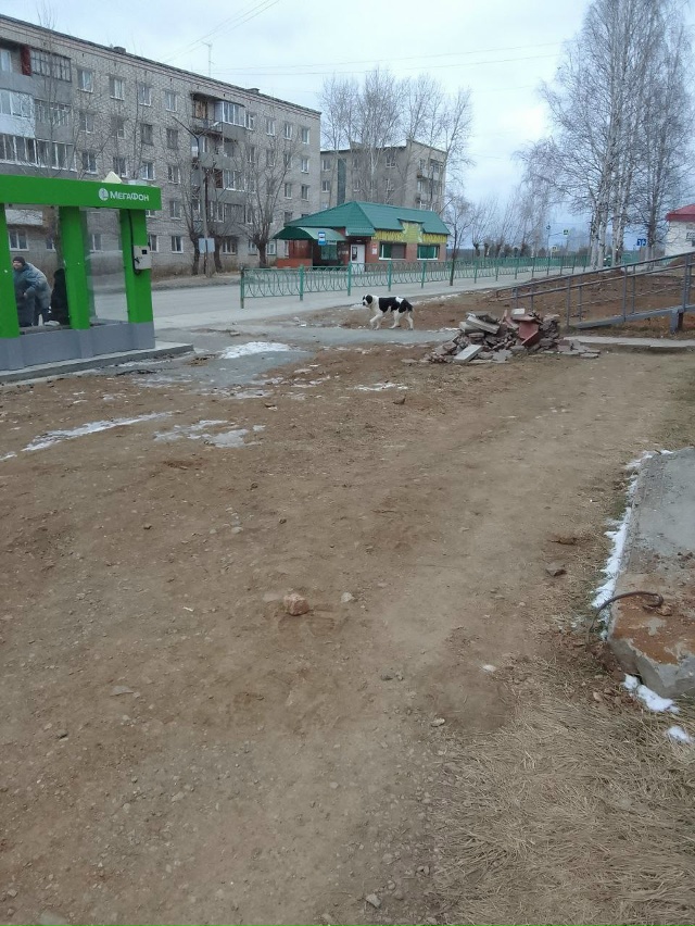 здравствуйте, на минвате алабай девочка бегает, может ?...