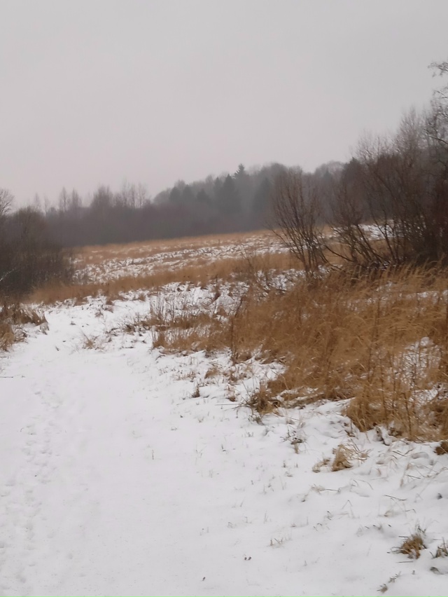 Доброго утра, Никольск❤