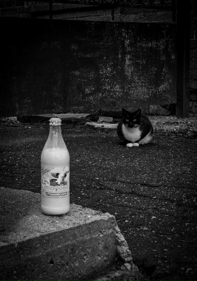 Вспомните тот вкус можайского молока 🥛