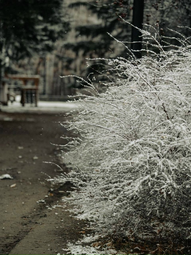 ❄️Заснеженные дворы Екатеринбурга