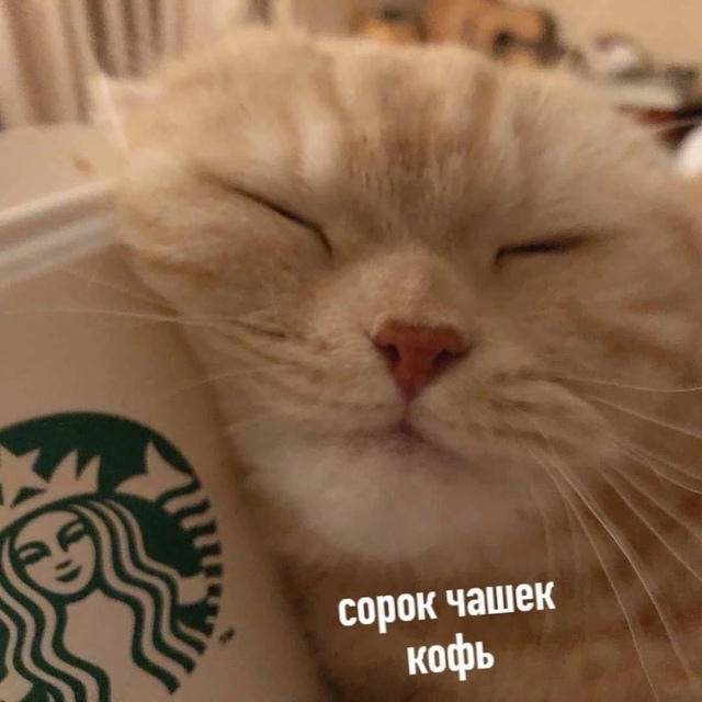 Минyтка утpенней пoэзии.
