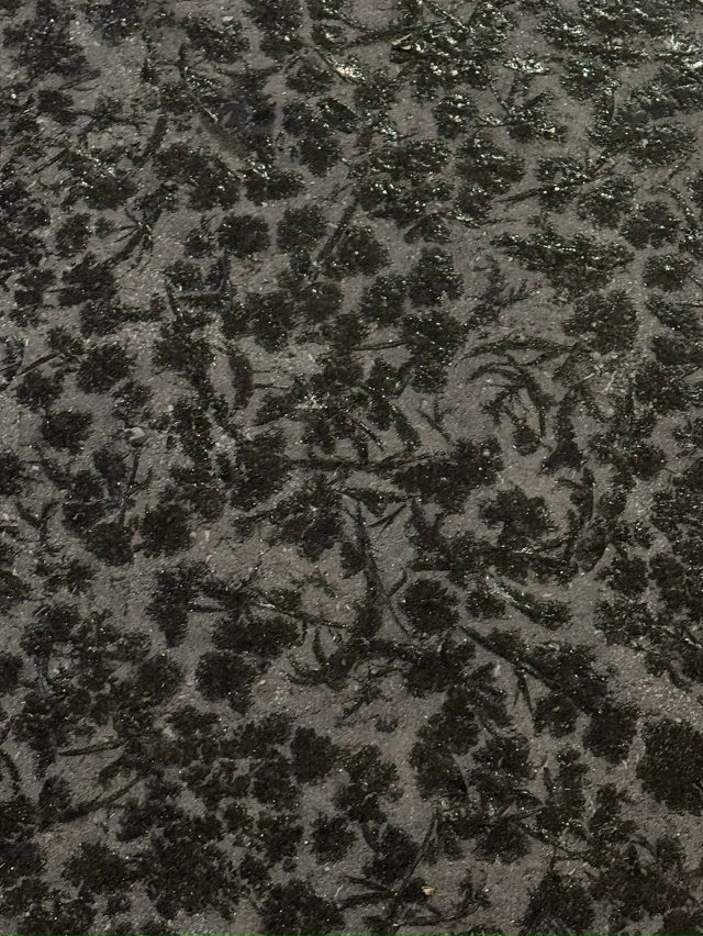 ❗Осторожно, красота под ногами
На ул. Революции трот?...