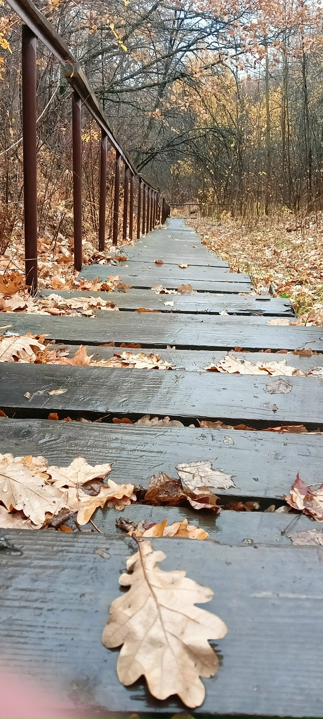 Всем Добрый Осенний привет🍂🍂