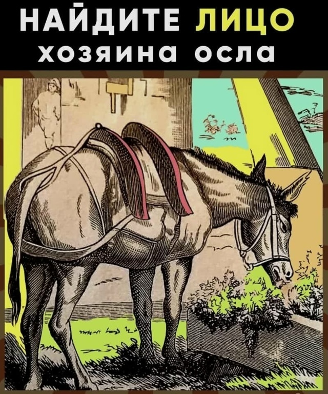 УТРЕННИЕ ЗАГАДКИ... ☝