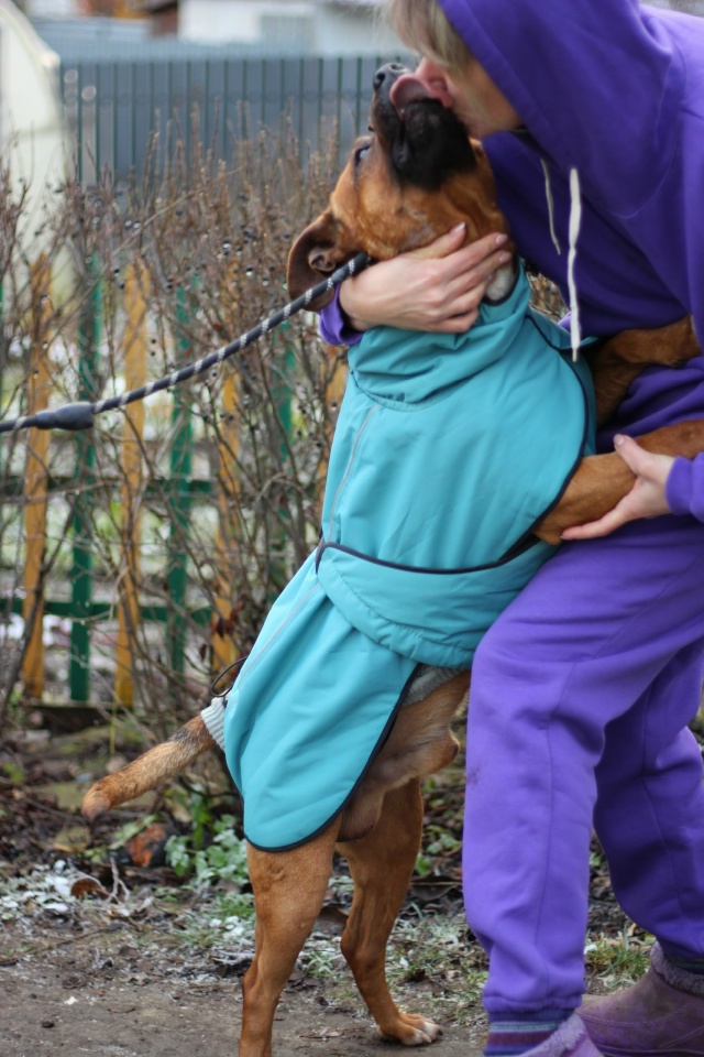 Серпухов, Протвино , Москва и вся Московская область.
С...