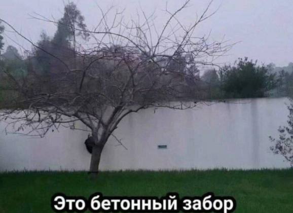 если ты видишь здесь озеро, то это знак, что надо отдохнуть